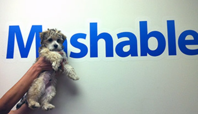 the-year-in-mashable-what-it-s-like-inside-a-fast-growing-media-company-and-what-to-expect-in-2012-92621fd7b0