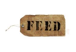 FEED Logo